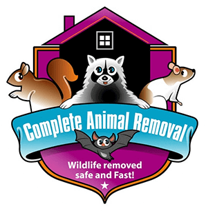 Complete Animal Removal Tennessee